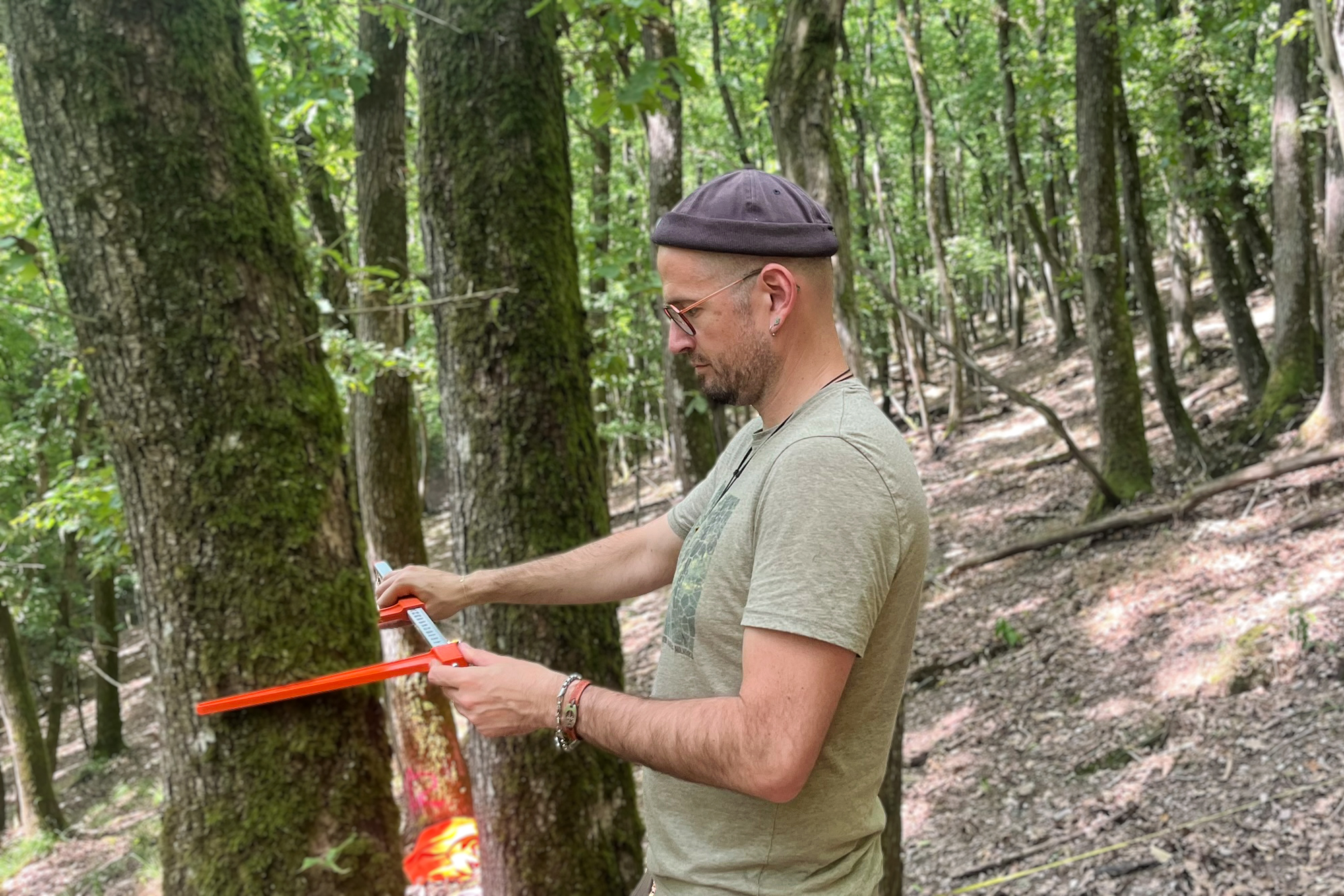 ECONICS Institute Mitarbeiter Florian Schenk misst BHD im woodify Pronaturierungsprojekt Moselschleife, Juli 2025, Foto: Inga Engelhardt