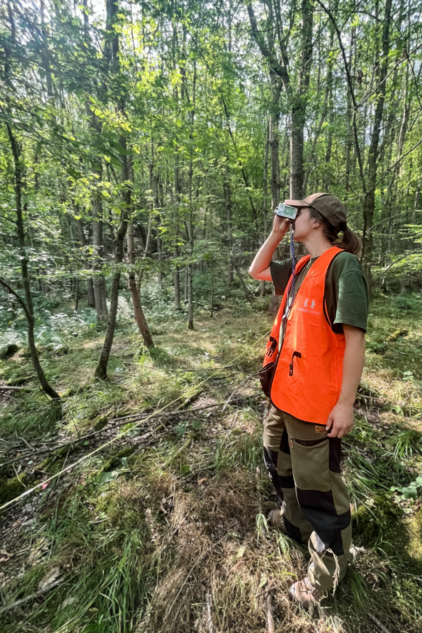 ECONICS Institute Mitarbeiterin Inga Engelhardt vermisst die Baumhöhen, woodify Pronaturierungsprojekt Moselschleife, Juli 2025, Foto: Florian Schenk
